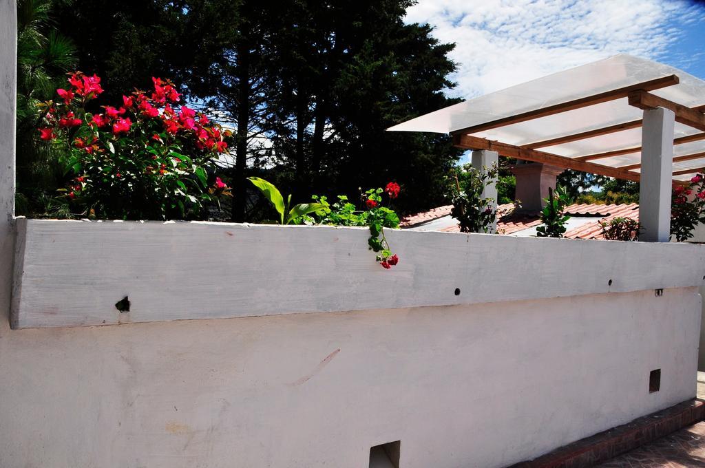 Planet Hostel San Cristóbal de Las Casas Dış mekan fotoğraf